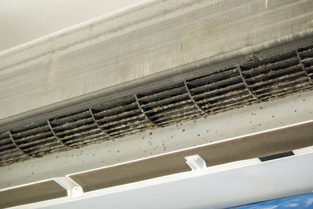 Best Air Duct Cleaning Near Me  in Baltimore, OH